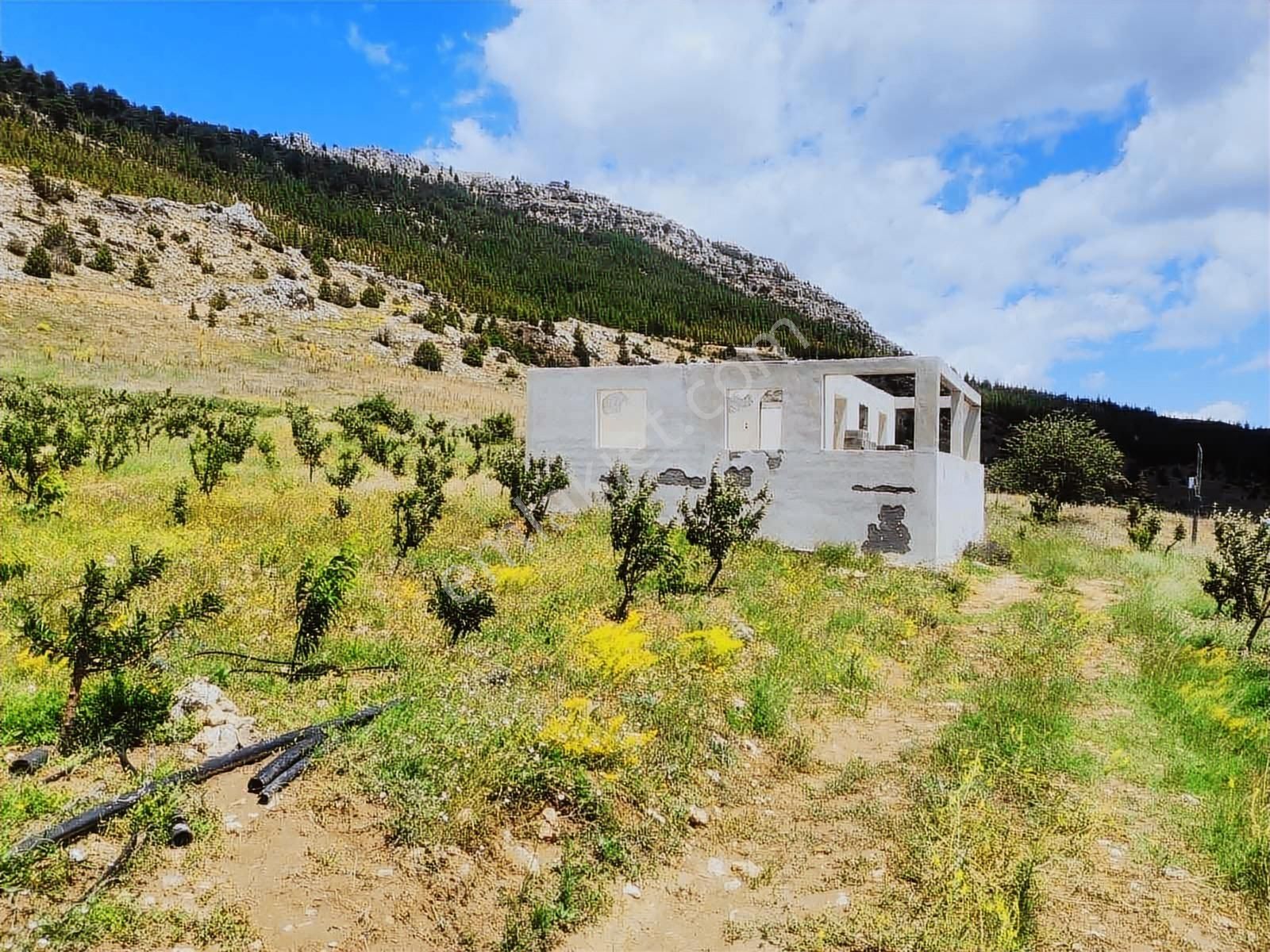 Ceo Group Konut Ve Turizm Projelerine Uygun 9829m² Bahçe Ve 2 Ev - Görsel 3