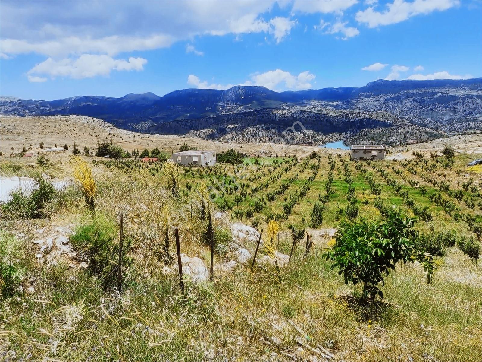 Ceo Group Konut Ve Turizm Projelerine Uygun 9829m² Bahçe Ve 2 Ev