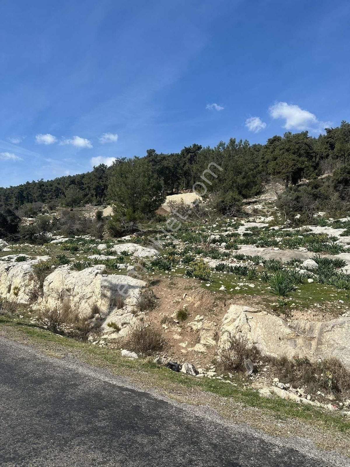 Panoramik Manzarali 5640 Mt Turizm Tesisine Uygun - Görsel 2