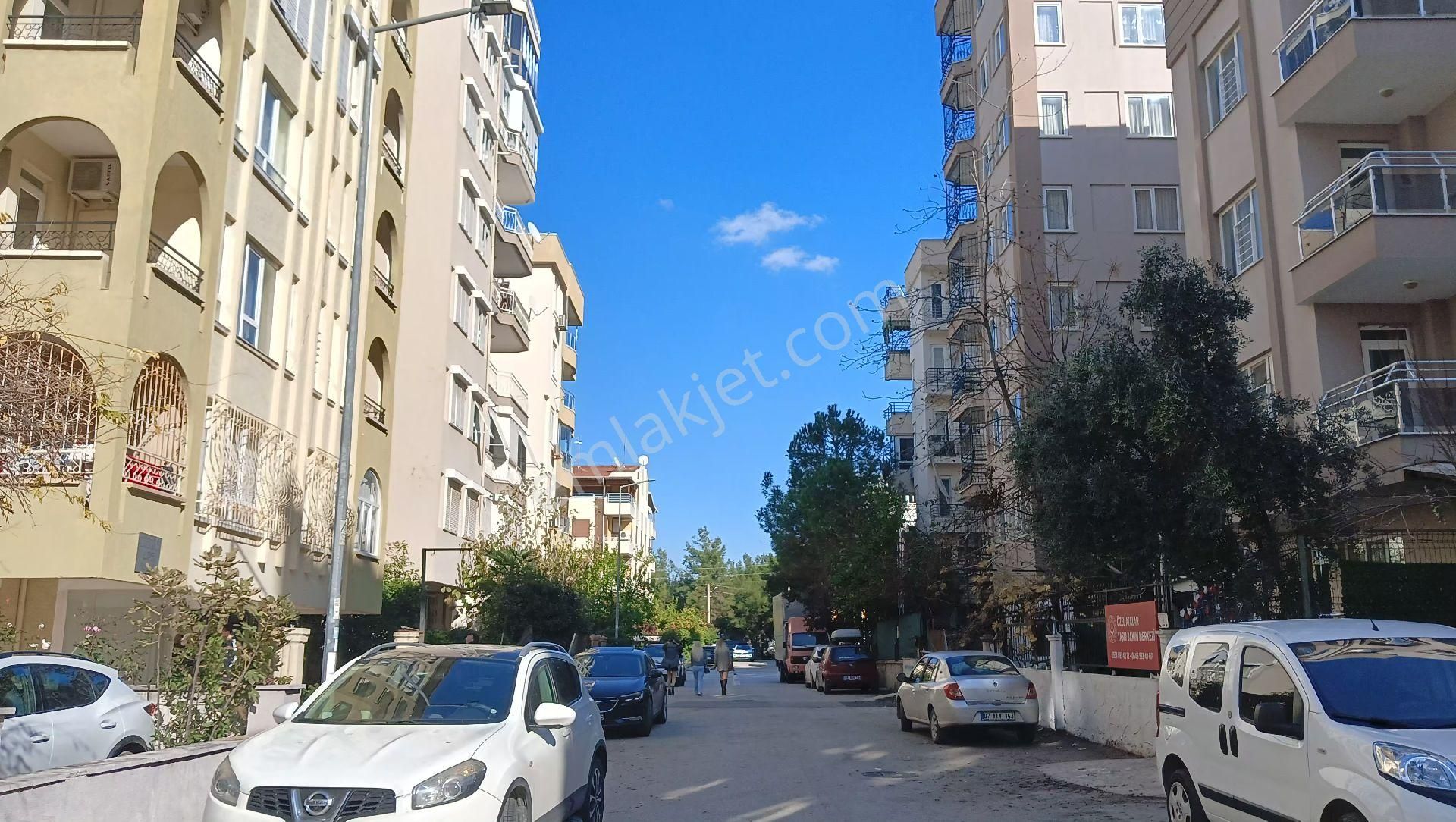 Terrahomes Gayrimenkul Altinkum'da Katta Tek Daire Satılık 3+1 - Görsel 3