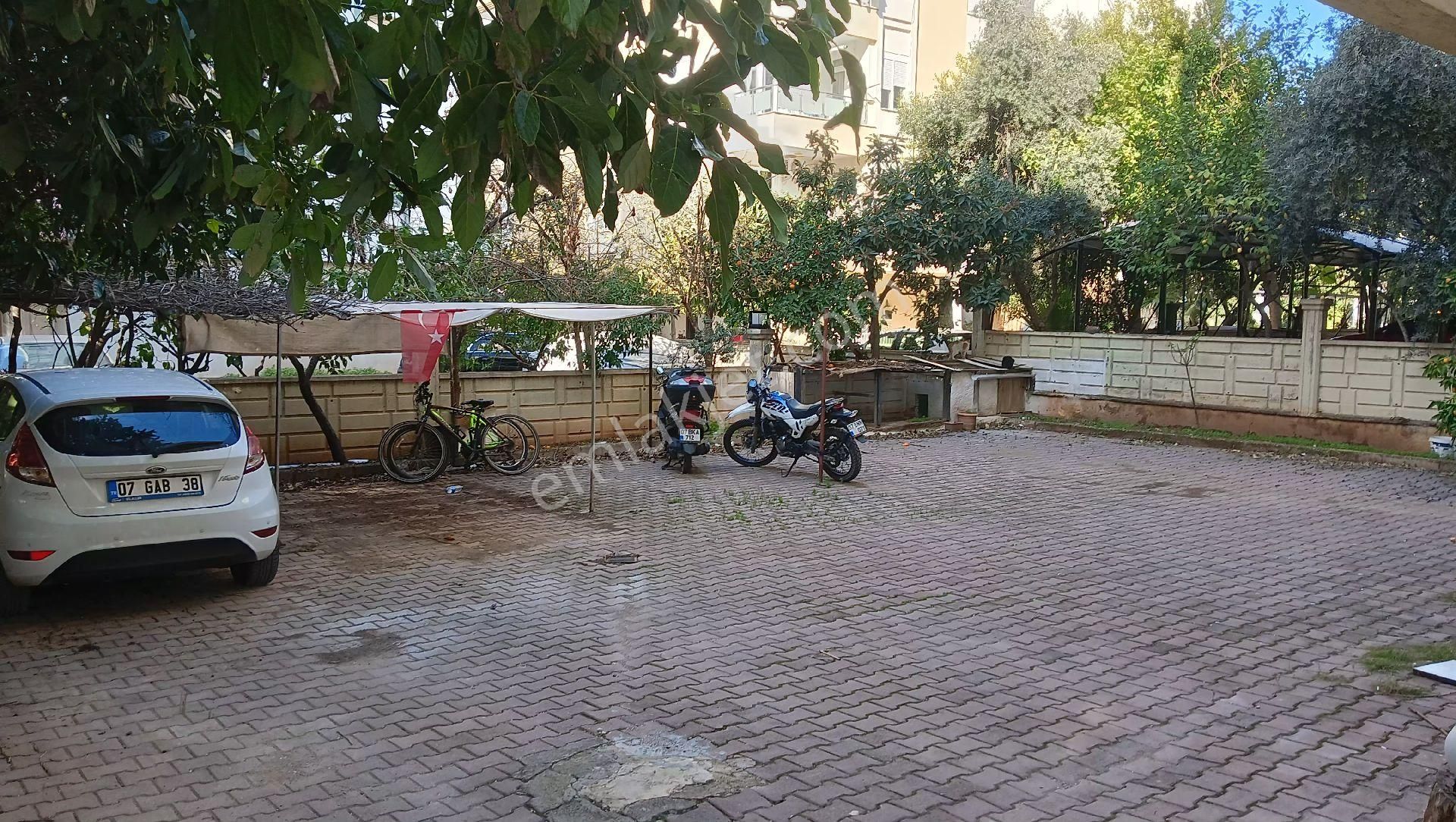 Terrahomes Gayrimenkul Altinkum'da Katta Tek Daire Satılık 3+1 - Görsel 7