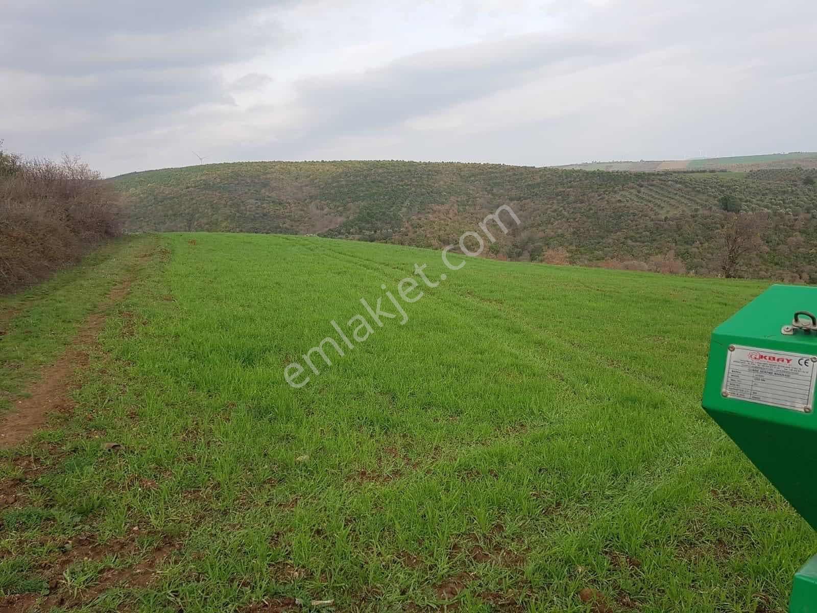 Biensten Karacabey İmara Yakın Fırsat Tarla - Görsel 4