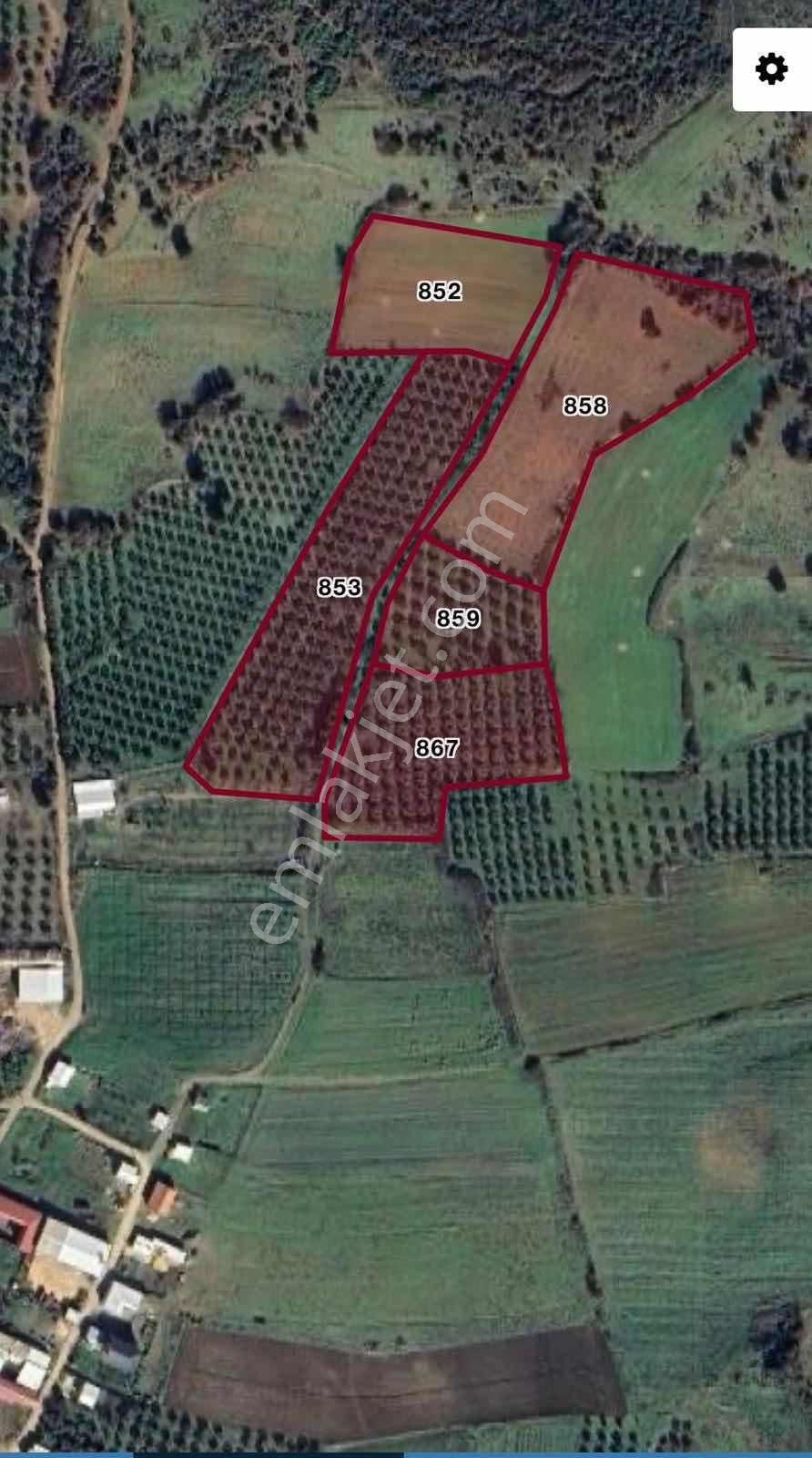 Biensten Karacabey İmara Yakın Fırsat Tarla - Görsel 8