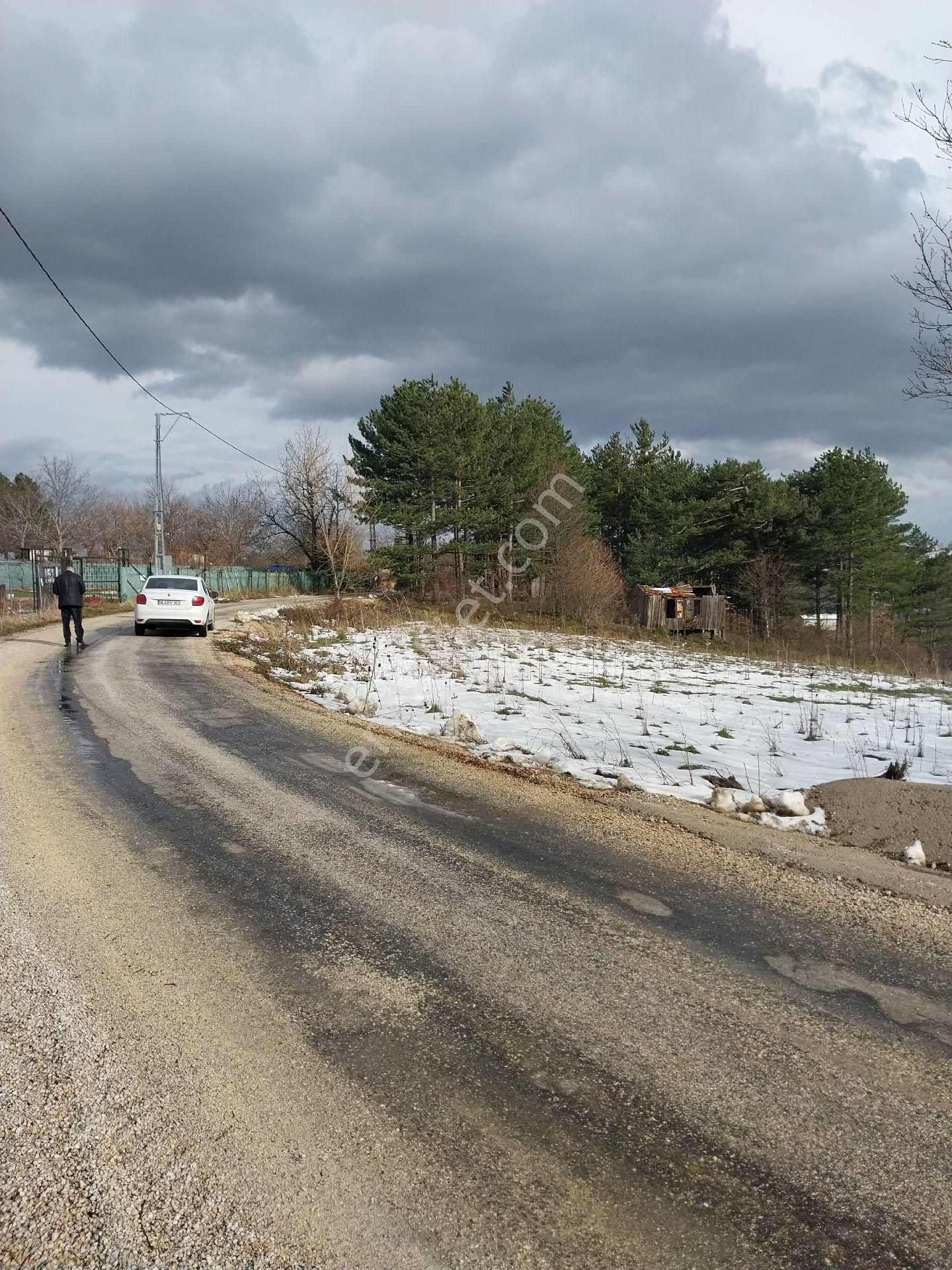 Kestel Orhaniye Cemiyet Bölgesinde Satılık Güzel Konumda Tarla - Görsel 6