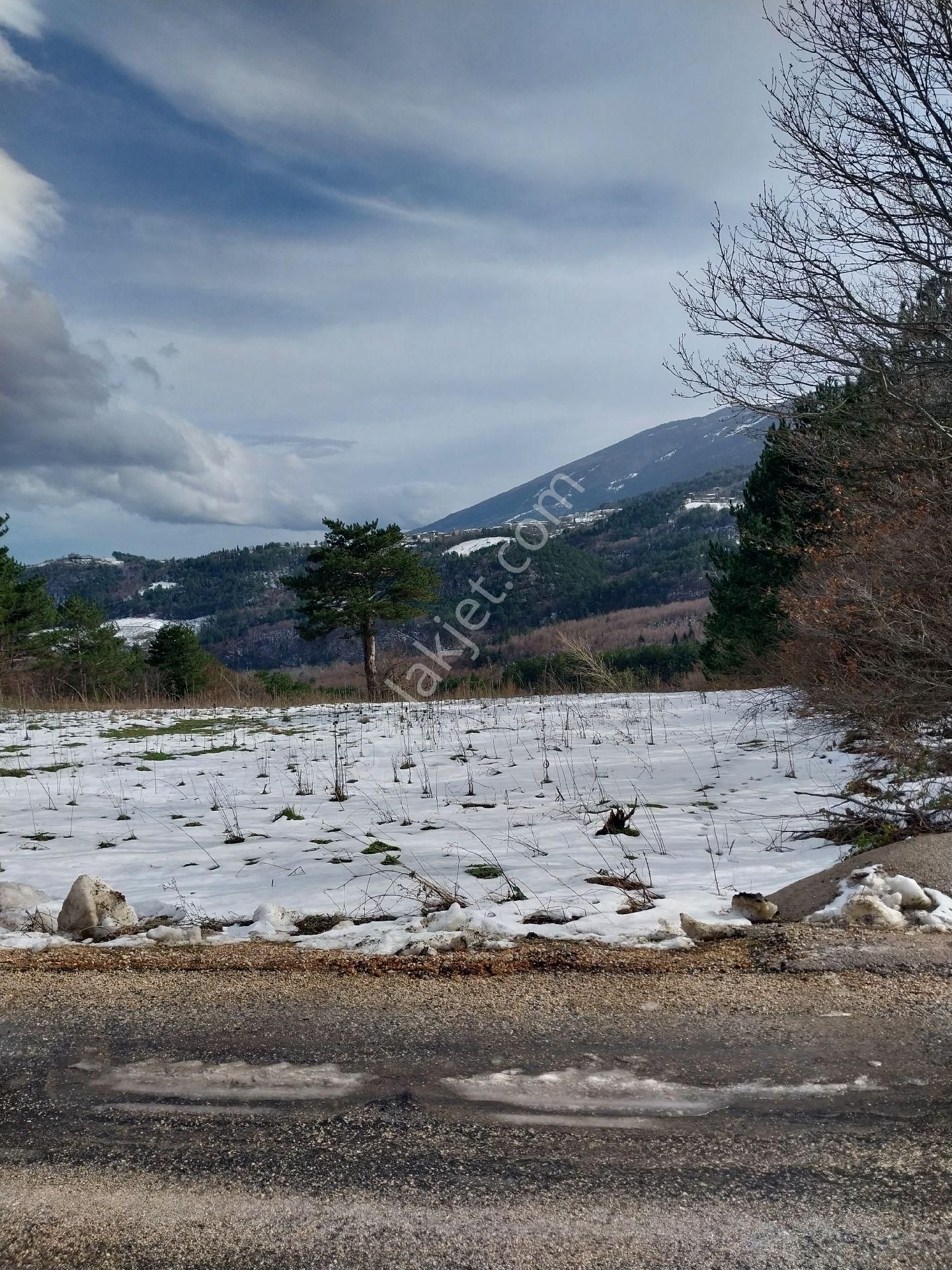 Kestel Orhaniye Cemiyet Bölgesinde Satılık Güzel Konumda Tarla - Görsel 4