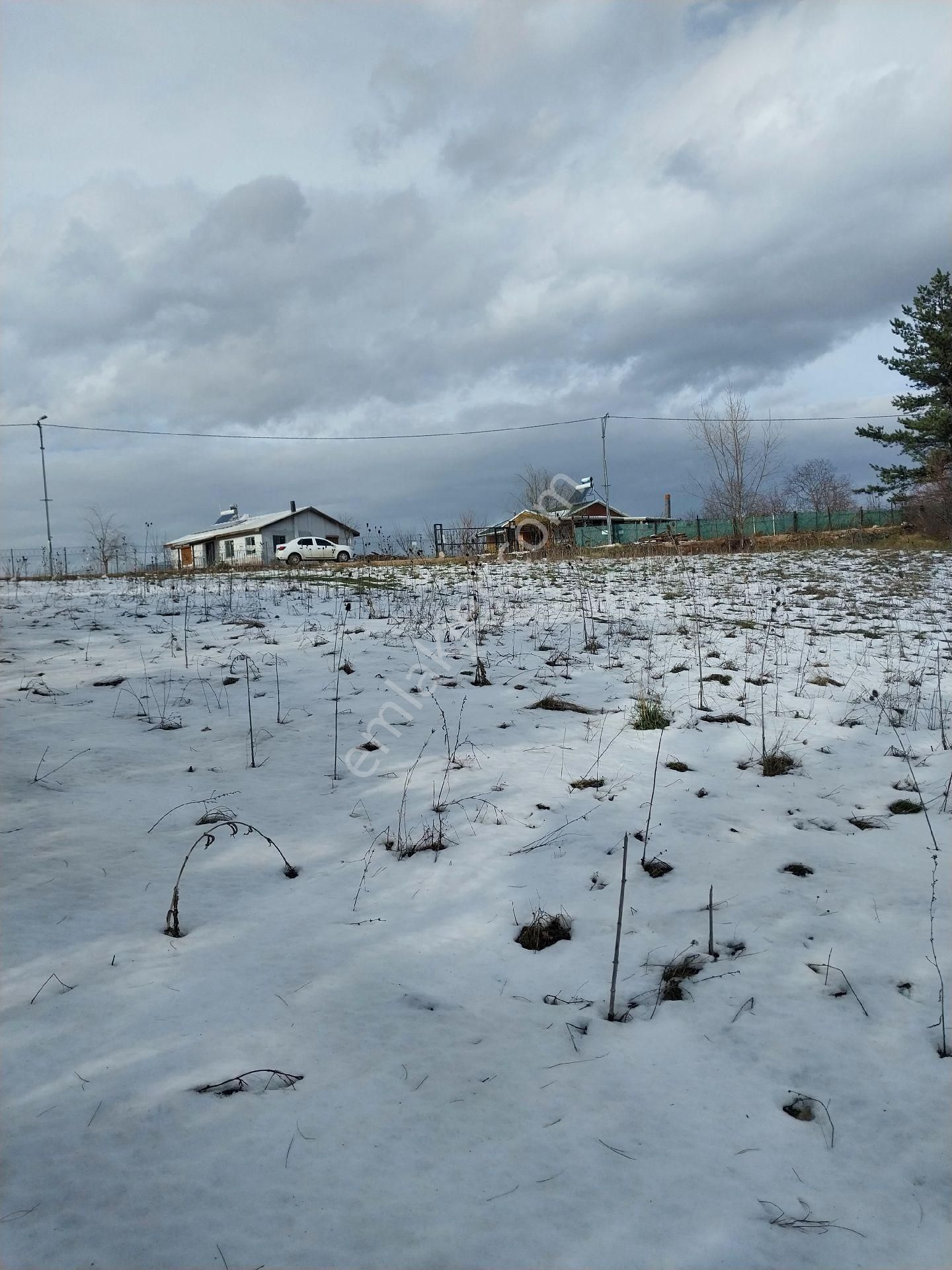 Kestel Orhaniye Cemiyet Bölgesinde Satılık Güzel Konumda Tarla - Görsel 3