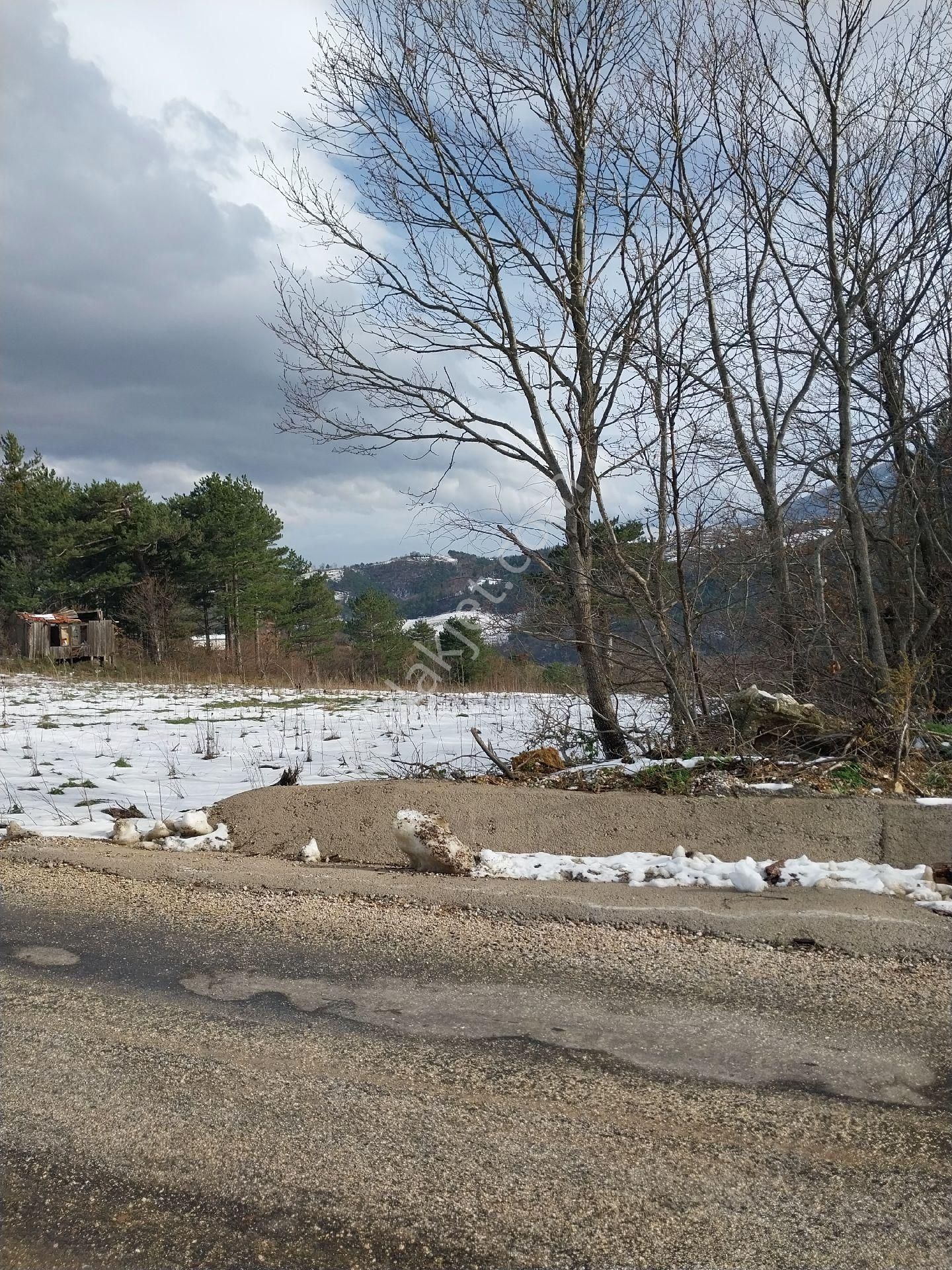 Kestel Orhaniye Cemiyet Bölgesinde Satılık Güzel Konumda Tarla - Görsel 5