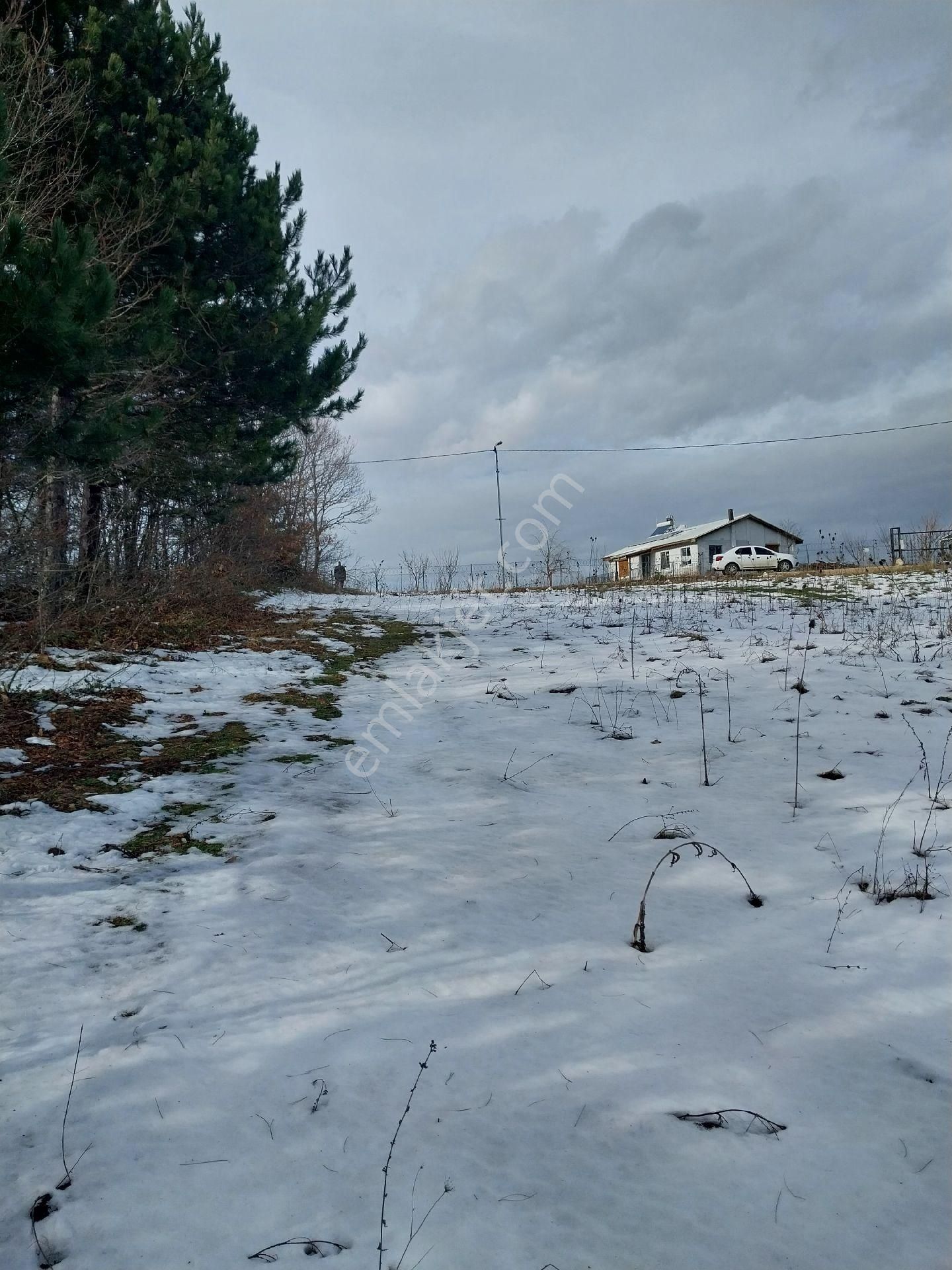 Kestel Orhaniye Cemiyet Bölgesinde Satılık Güzel Konumda Tarla - Görsel 2