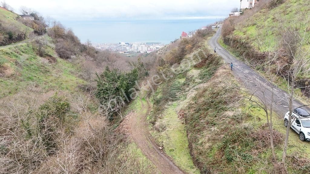 Abdi Bostan Gayrimenkul'den Söğütlü'de Satılık Arsa - Görsel 8