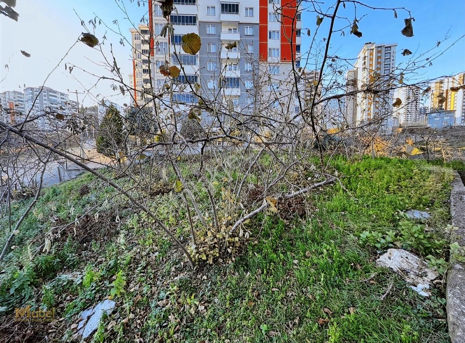 Mabel'den Fatsa Ayazlıda Satılık 1481 M2 Arsa Ve 3 Katlı Villa - Görsel 23