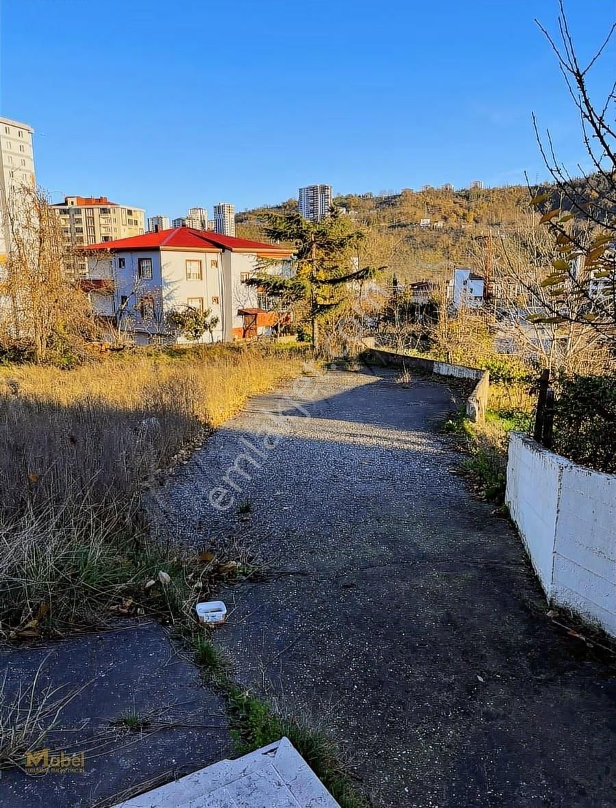 Mabel'den Fatsa Ayazlıda Satılık 1481 M2 Arsa Ve 3 Katlı Villa - Görsel 17