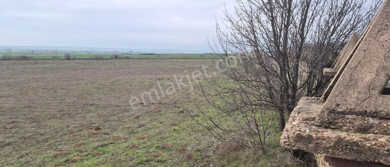 Kırklareli Vize Okçularda Sanayi İmarlı Arsa - Görsel 2