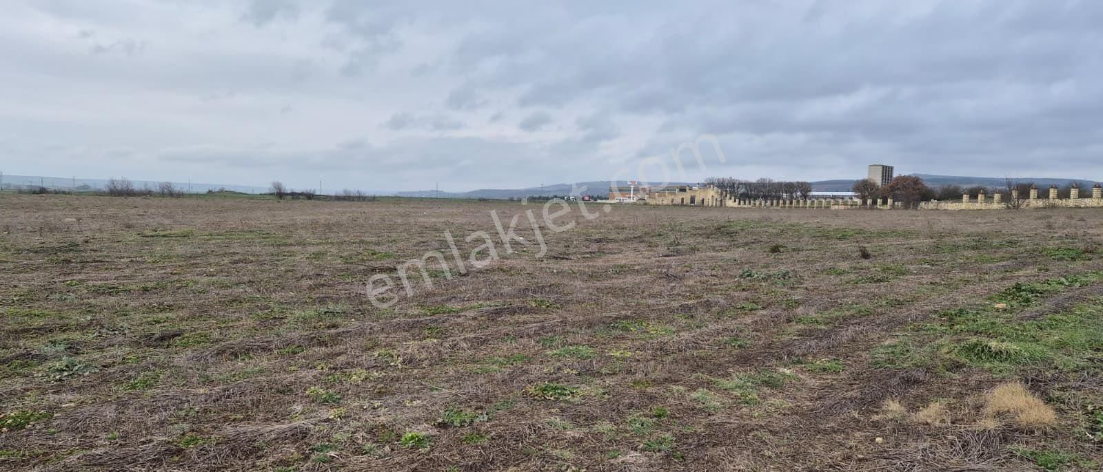 Kırklareli Vize Okçularda Sanayi İmarlı Arsa - Görsel 7