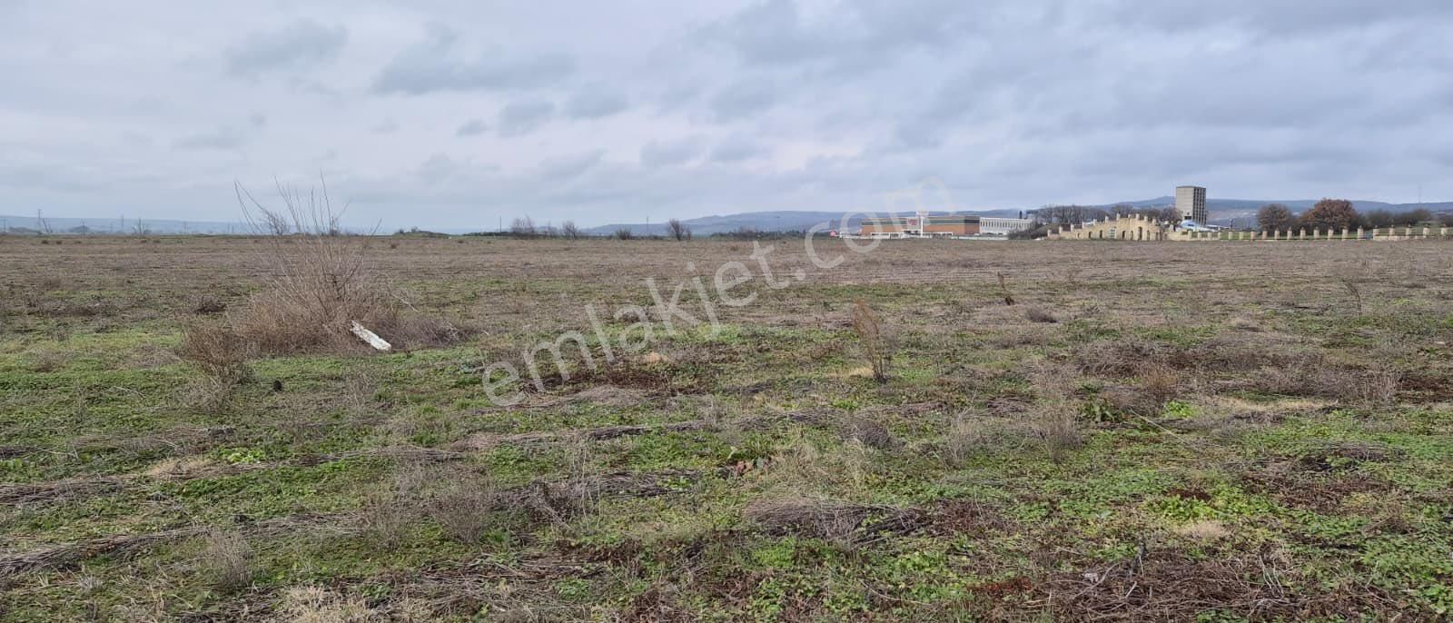 Kırklareli Vize Okçularda Sanayi İmarlı Arsa - Görsel 12