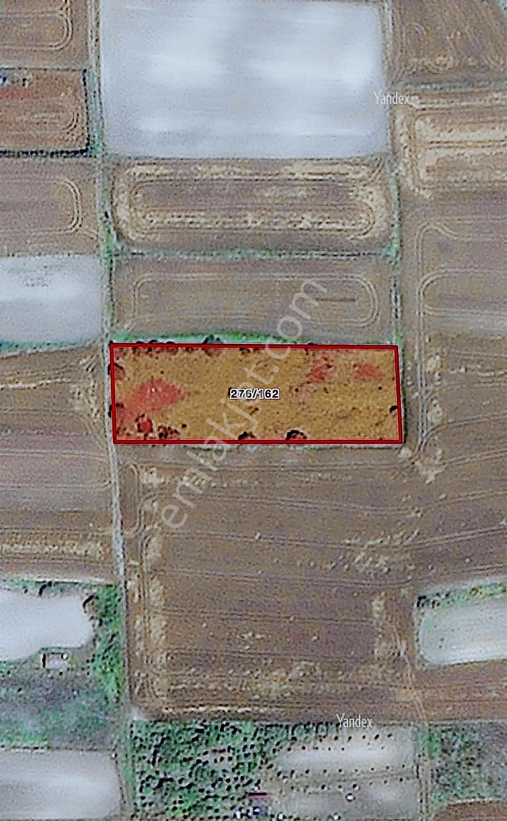 İstanbul Çatalca Kestanelik Mah Satılık Kupon Tarla