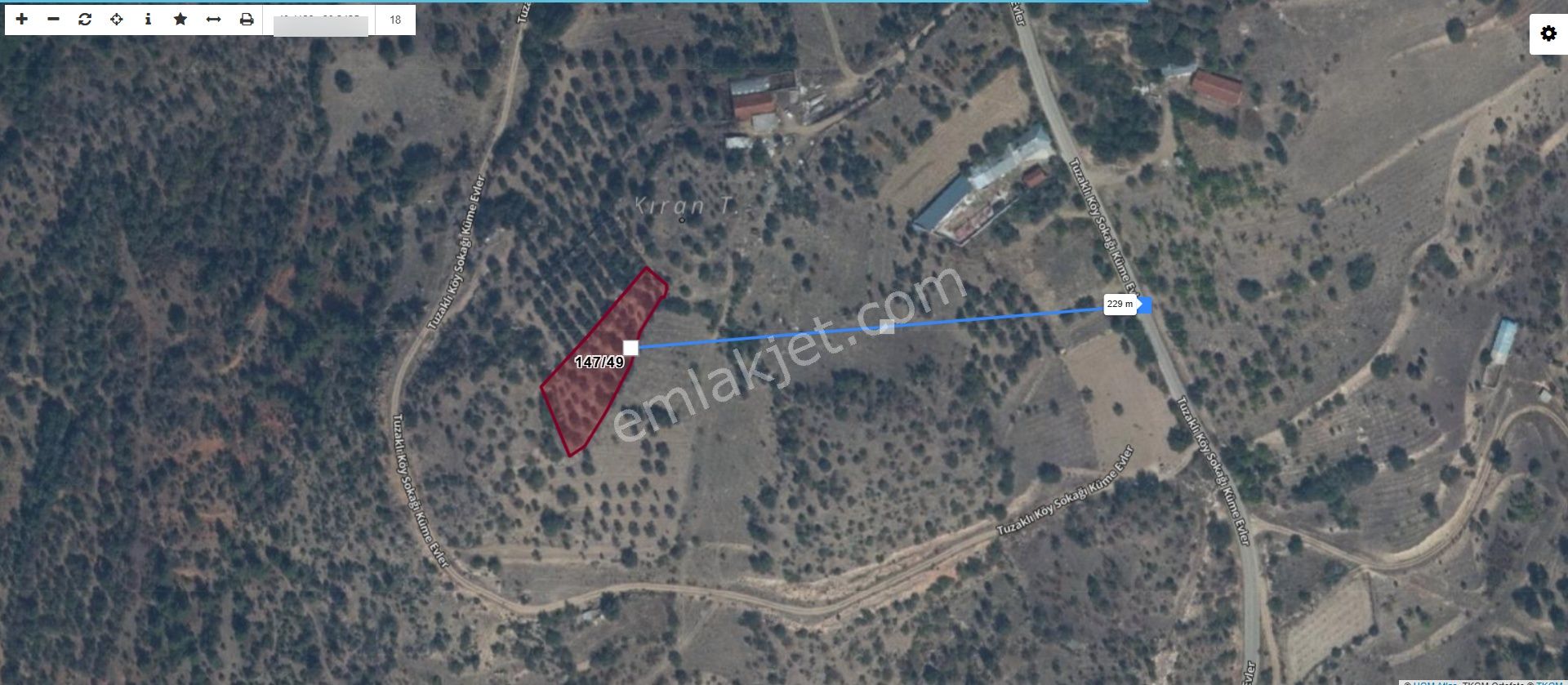 Bilecik Söğüt Tuzaklıda Değeri Artan Yatırımlık Zeytinlik - Görsel 4