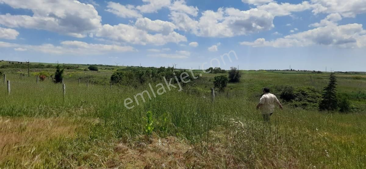 Silivri Gölet Manzaralı 516m2 Satılık Yanyana 2 Parsel Arsa - Görsel 27