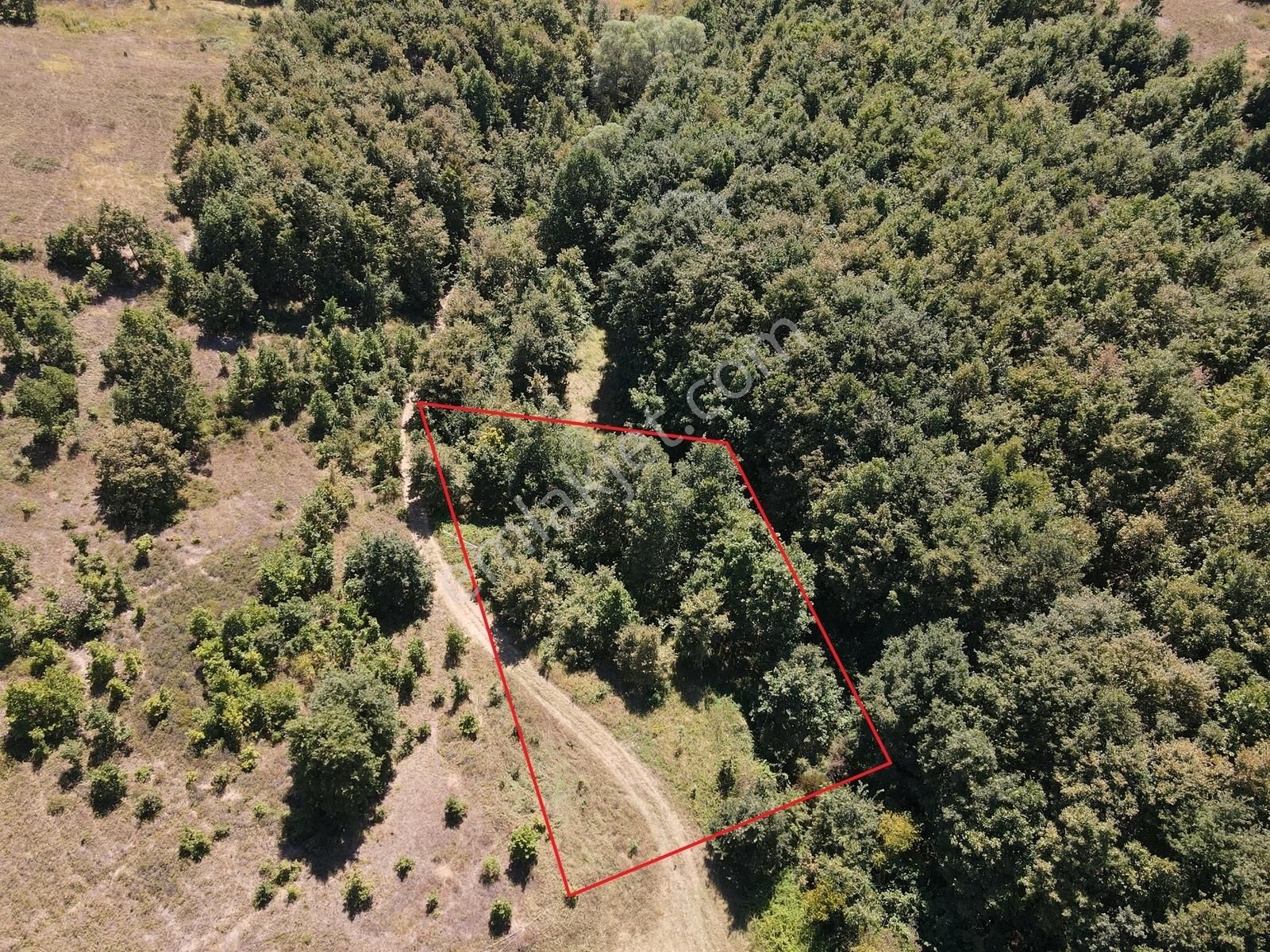 Yörükler Köyünde Araç İle Ulaşım Olan 926 M2 Bahçe - Görsel 11