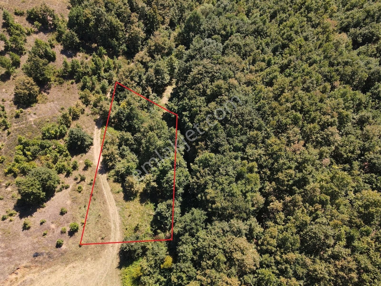 Yörükler Köyünde Araç İle Ulaşım Olan 926 M2 Bahçe - Görsel 2