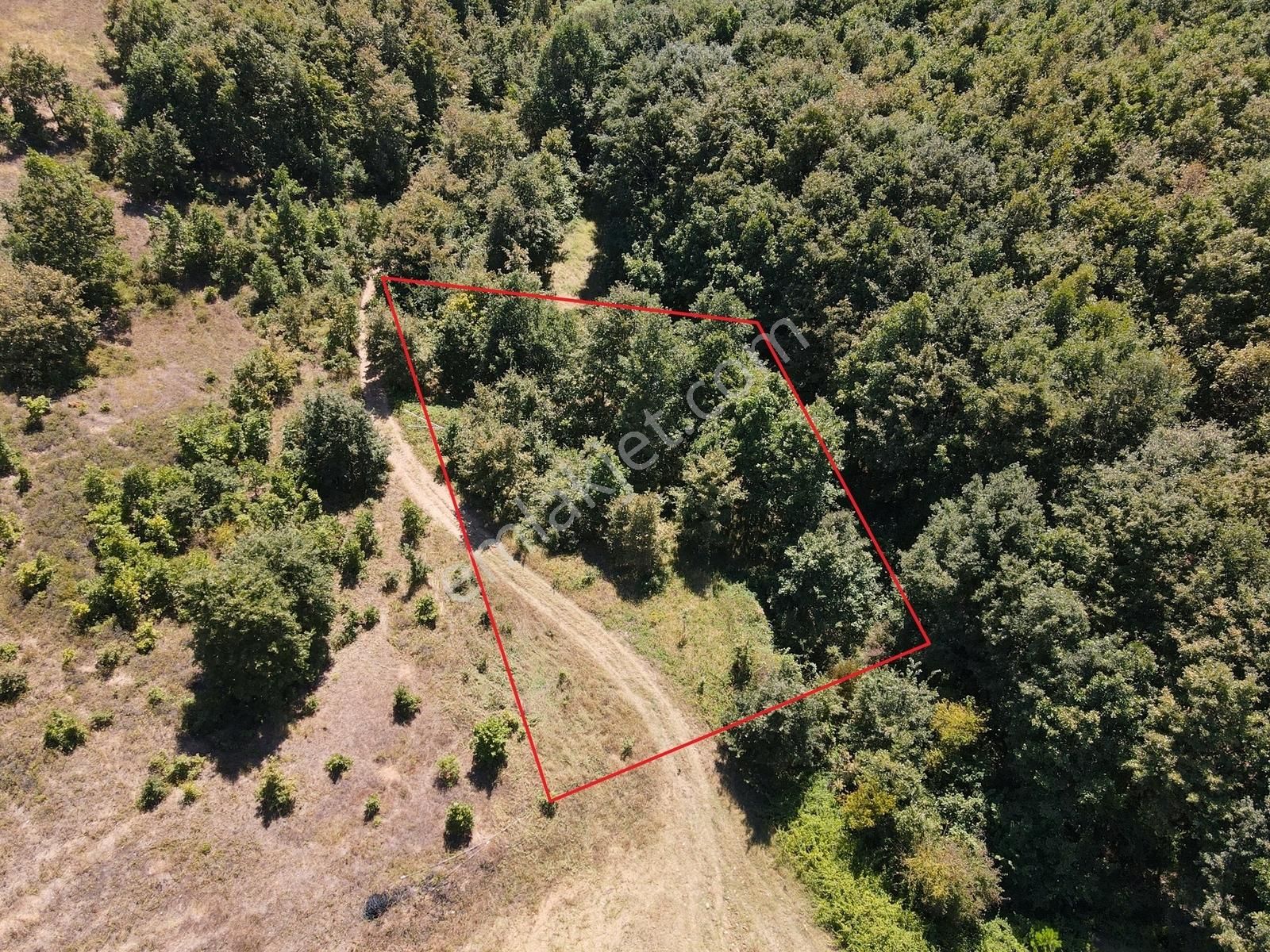 Yörükler Köyünde Araç İle Ulaşım Olan 926 M2 Bahçe - Görsel 12