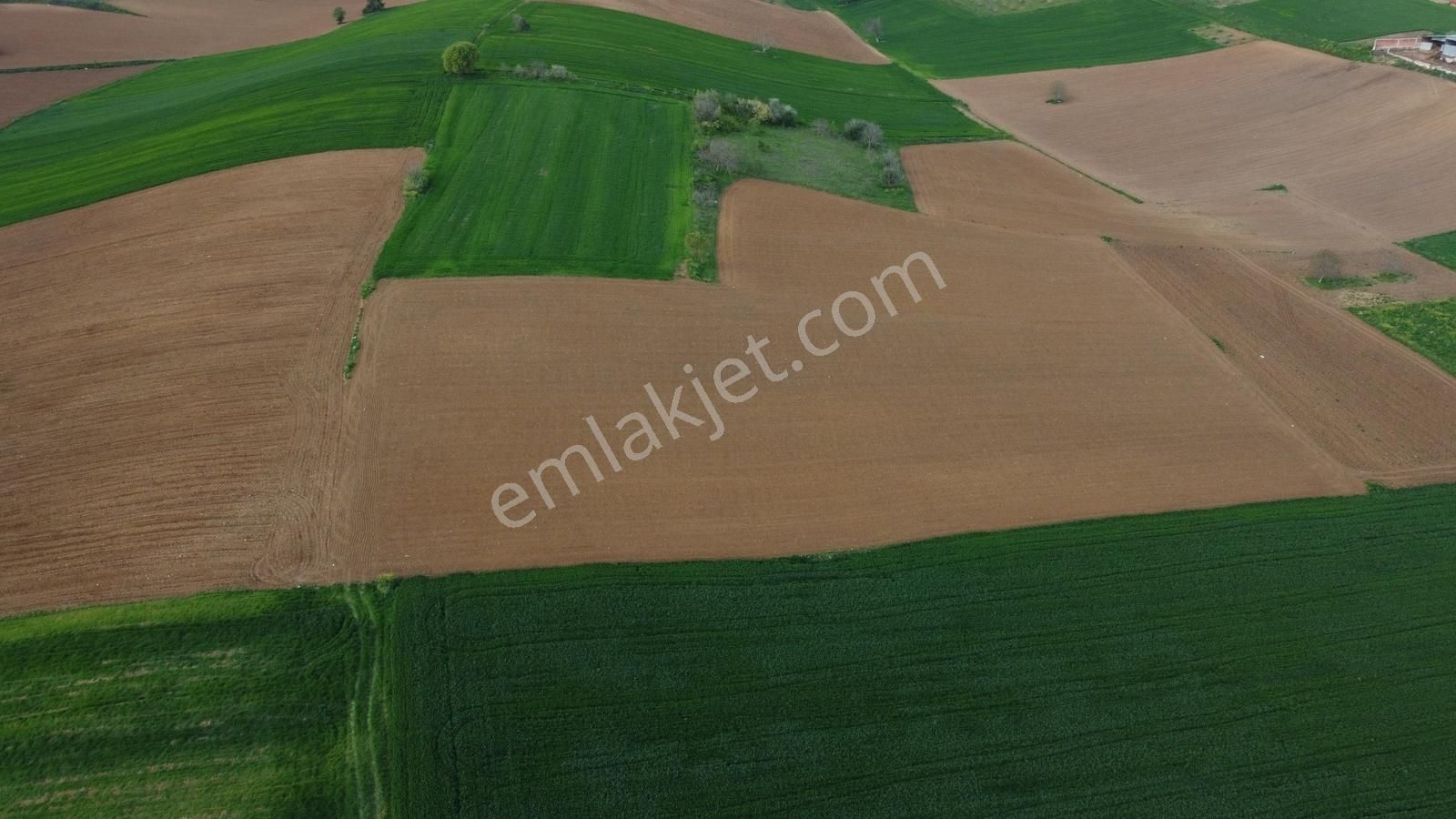 Karataş'tan Barcın'da 4200 M2 İmara 100 M Yatırımlık Kupon Arazi - Görsel 4