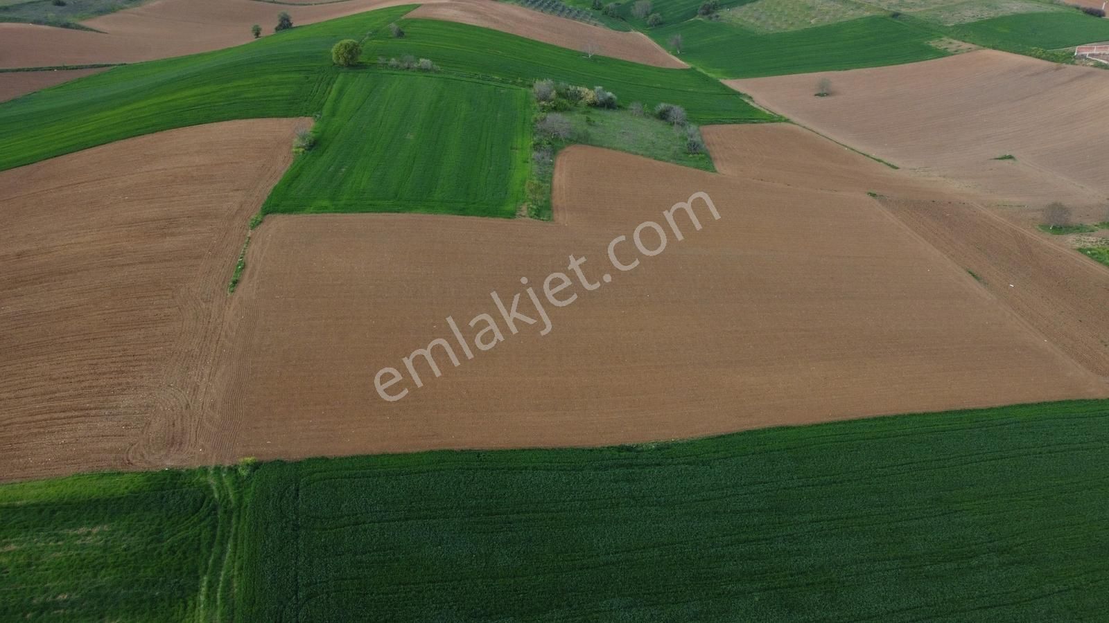 Karataş'tan Barcın'da 4200 M2 İmara 100 M Yatırımlık Kupon Arazi - Görsel 3