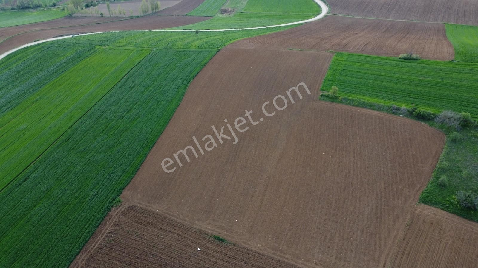 Karataş'tan Barcın'da 4200 M2 İmara 100 M Yatırımlık Kupon Arazi - Görsel 12