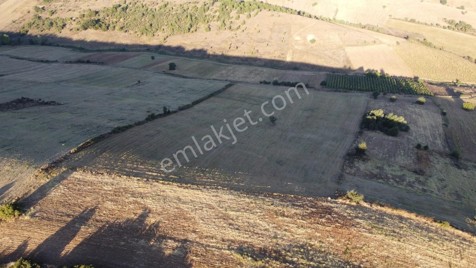 Karataş'tan Tam 33.000 M2 Şehire Yakın Yolu Olan Kupon Arazi - Görsel 18