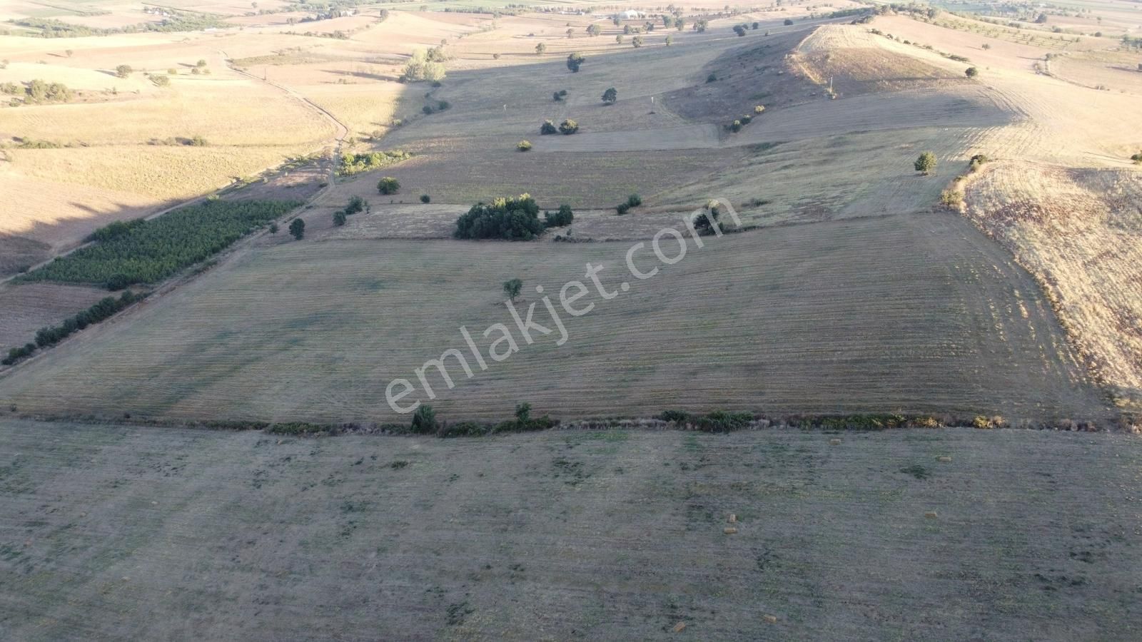 Karataş'tan Tam 33.000 M2 Şehire Yakın Yolu Olan Kupon Arazi - Görsel 8