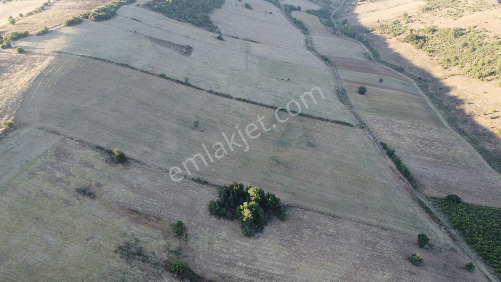 Karataş'tan Tam 33.000 M2 Şehire Yakın Yolu Olan Kupon Arazi - Görsel 2