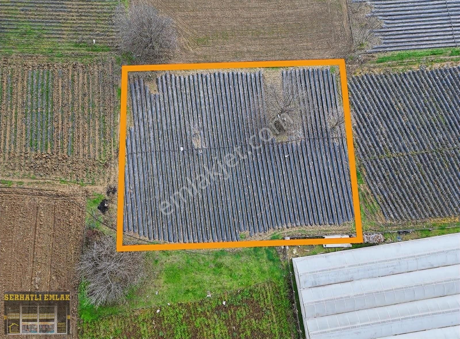 Serhatlı'dan Kurşunlu'da Sanayi İmarında Fırsat Arsa - Görsel 2