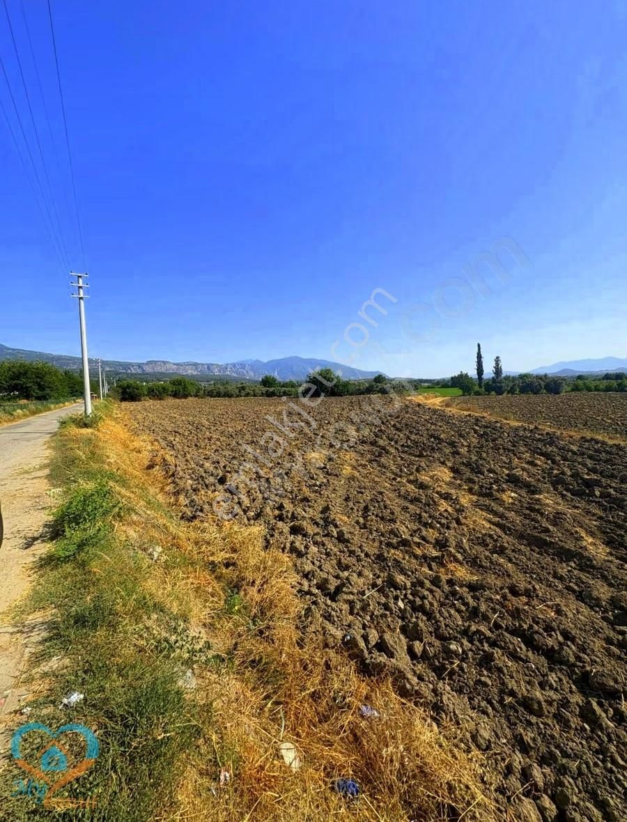 Seydikemer Güneşli Mh. Anayola Cephe Satılık 5.531 M2 Tarla - Görsel 3