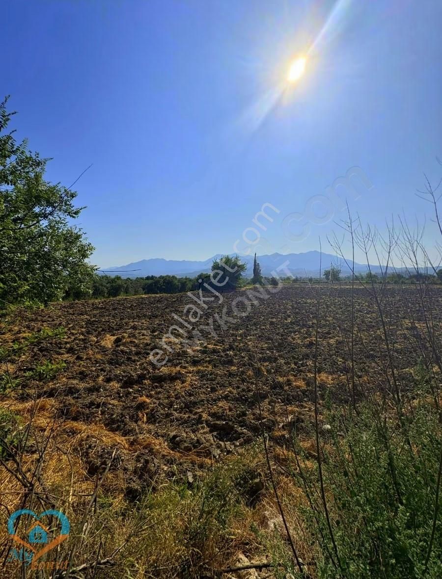 Seydikemer Güneşli Mh. Anayola Cephe Satılık 5.531 M2 Tarla - Görsel 4