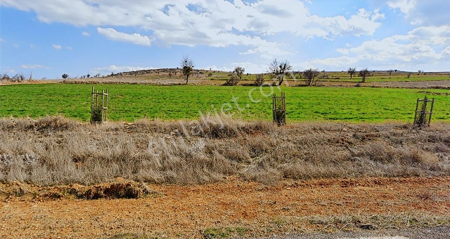 Korkuteli Büyükköy Müstakil Kök Tapulu 26 Dönüm Satılık Tarla - Görsel 5