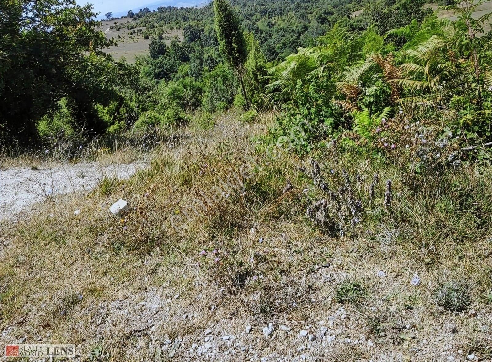 Kocaeli Derincede 10.274 M² %5 İmarlı Fırsat Tarla - Görsel 14