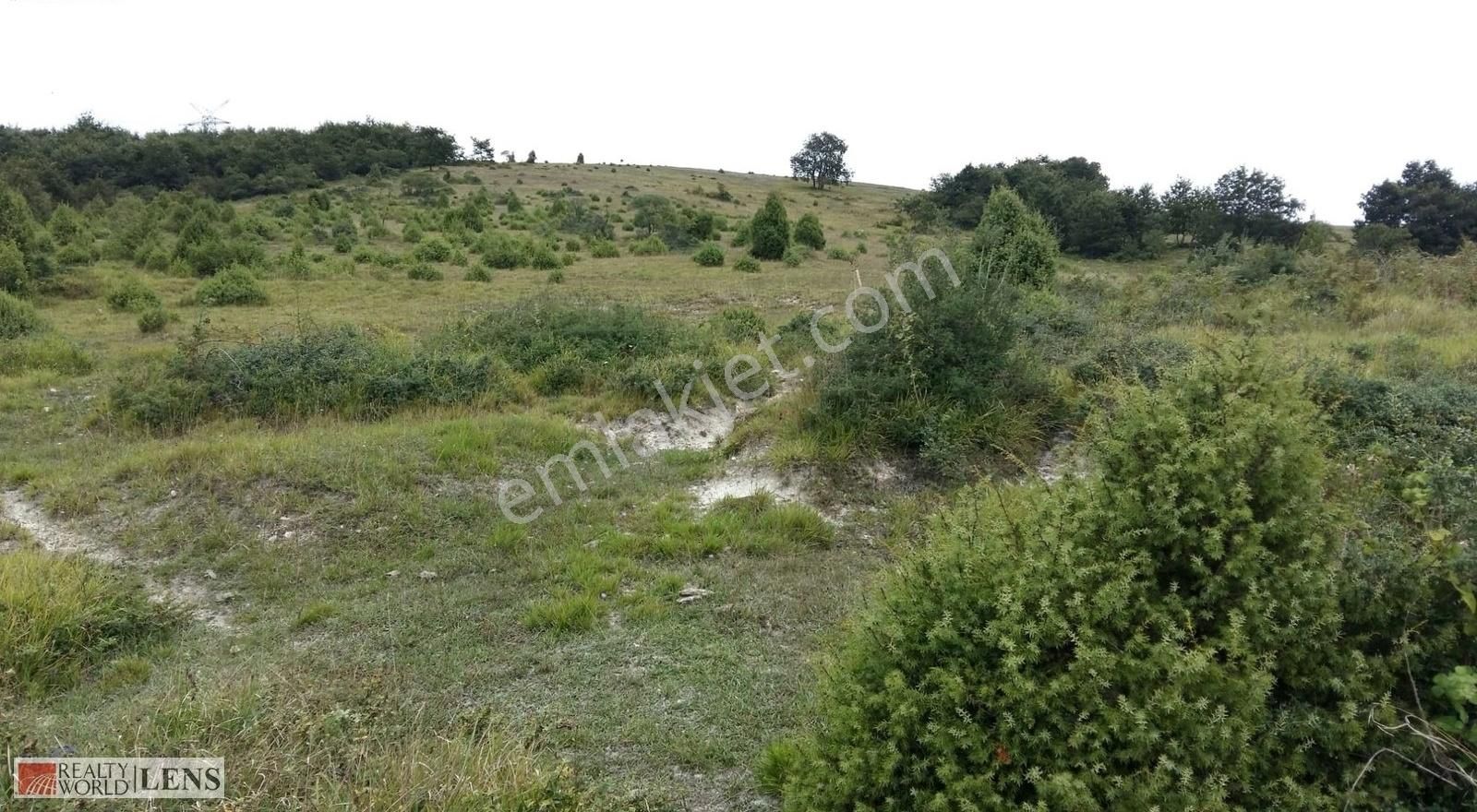 Kocaeli Derincede 10.274 M² %5 İmarlı Fırsat Tarla - Görsel 21