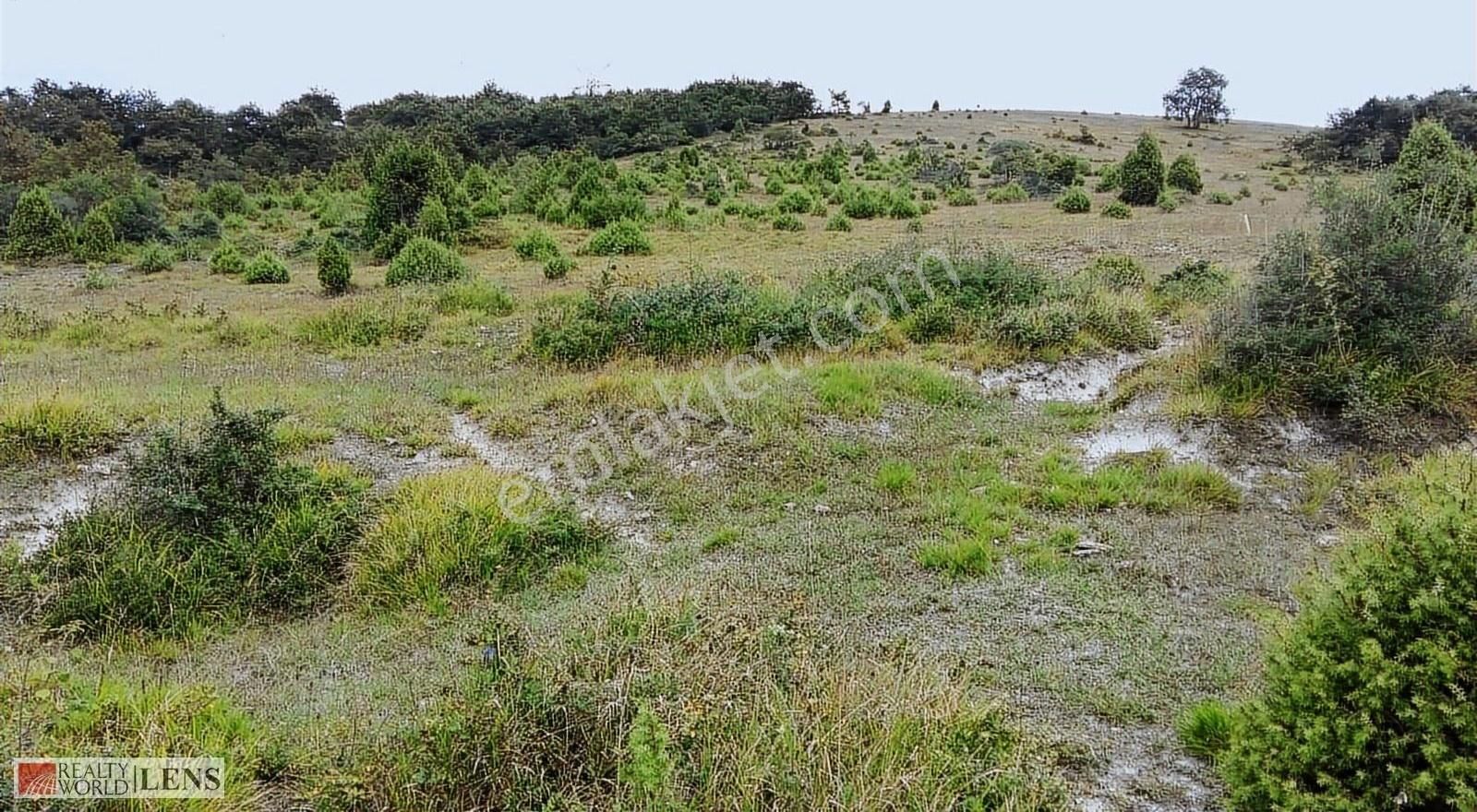 Kocaeli Derincede 10.274 M² %5 İmarlı Fırsat Tarla - Görsel 7