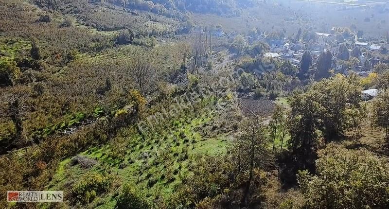 İmara Sınır, Şebeke Suyu İçinde 4.450 M2 Bahçe - Görsel 16