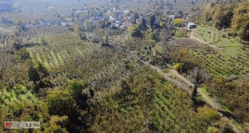 İmara Sınır, Şebeke Suyu İçinde 4.450 M2 Bahçe - Görsel 4