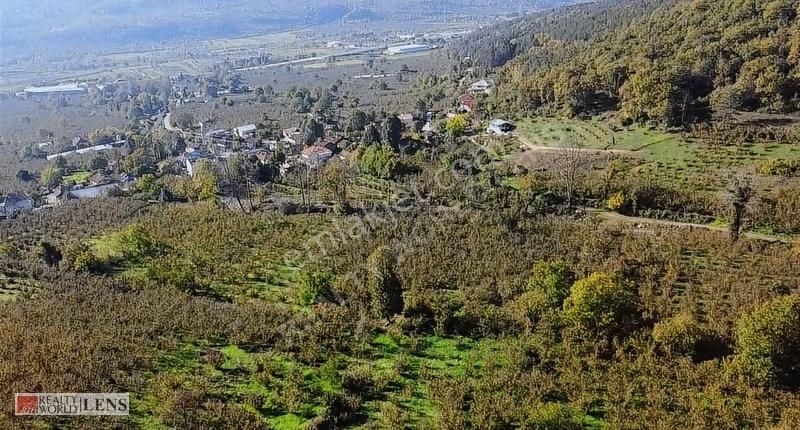 İmara Sınır, Şebeke Suyu İçinde 4.450 M2 Bahçe - Görsel 26