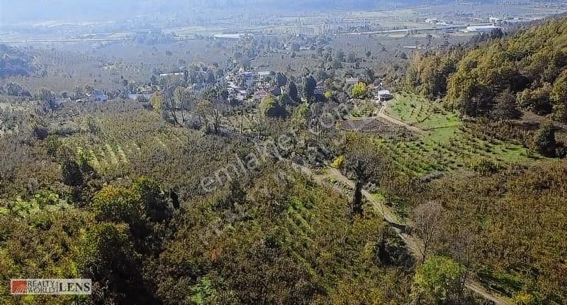 İmara Sınır, Şebeke Suyu İçinde 4.450 M2 Bahçe - Görsel 24