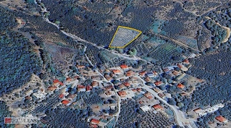 İmara Sınır, Şebeke Suyu İçinde 4.450 M2 Bahçe - Görsel 14