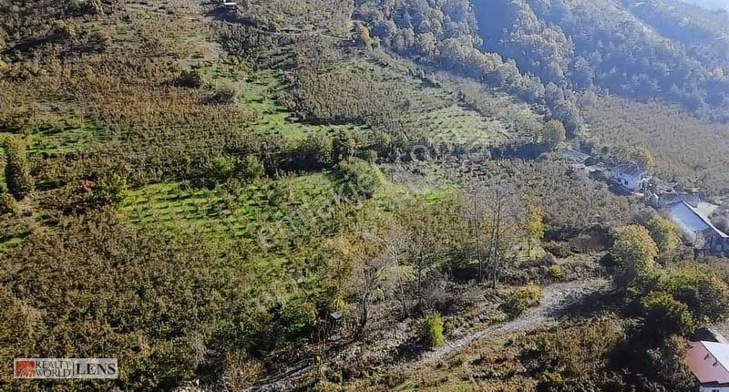 İmara Sınır, Şebeke Suyu İçinde 4.450 M2 Bahçe - Görsel 25