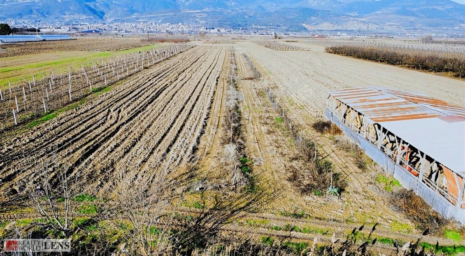 Pamukova Cihadiye'de 4000 M² Ceviz Ağaçlı Tarla ! Yatırıma Uygun - Görsel 18