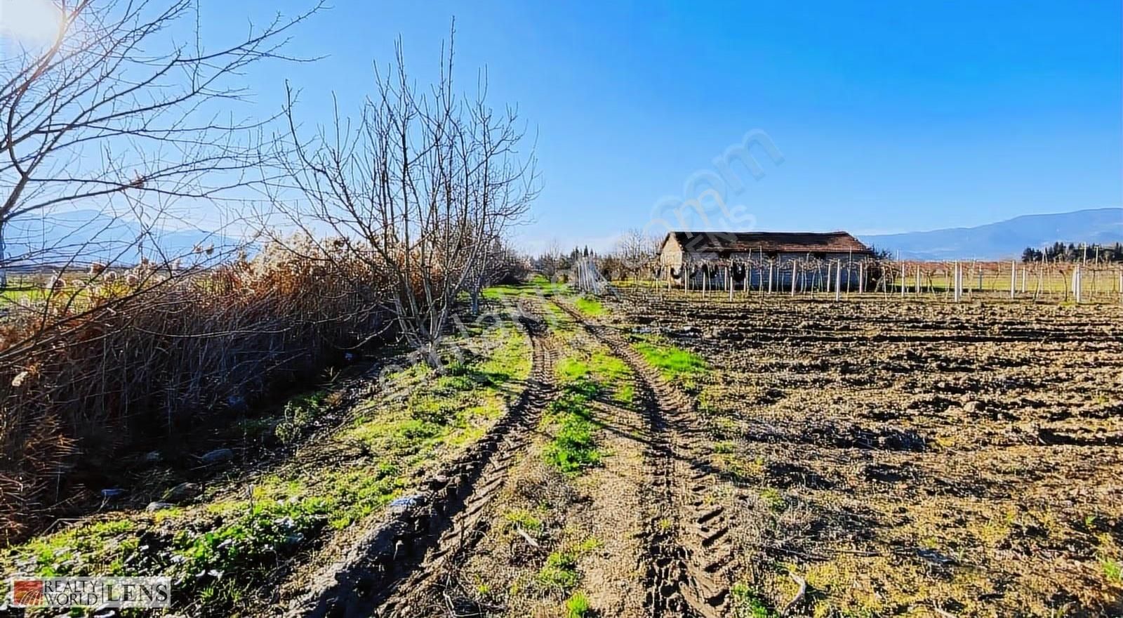 Pamukova Cihadiye'de 4000 M² Ceviz Ağaçlı Tarla ! Yatırıma Uygun - Görsel 31