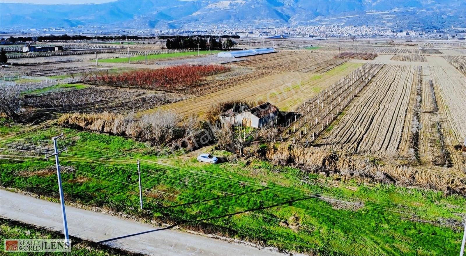 Pamukova Cihadiye'de 4000 M² Ceviz Ağaçlı Tarla ! Yatırıma Uygun - Görsel 9