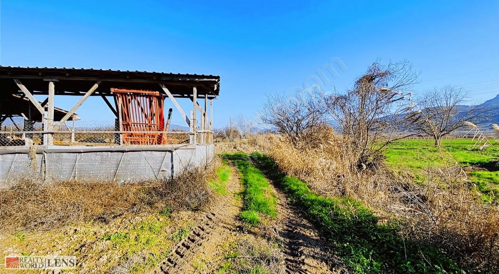 Pamukova Cihadiye'de 4000 M² Ceviz Ağaçlı Tarla ! Yatırıma Uygun - Görsel 10