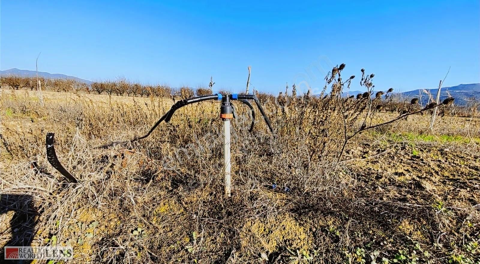Pamukova Cihadiye'de 4000 M² Ceviz Ağaçlı Tarla ! Yatırıma Uygun - Görsel 24