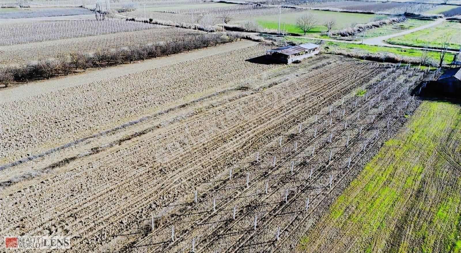 Pamukova Cihadiye'de 4000 M² Ceviz Ağaçlı Tarla ! Yatırıma Uygun - Görsel 20