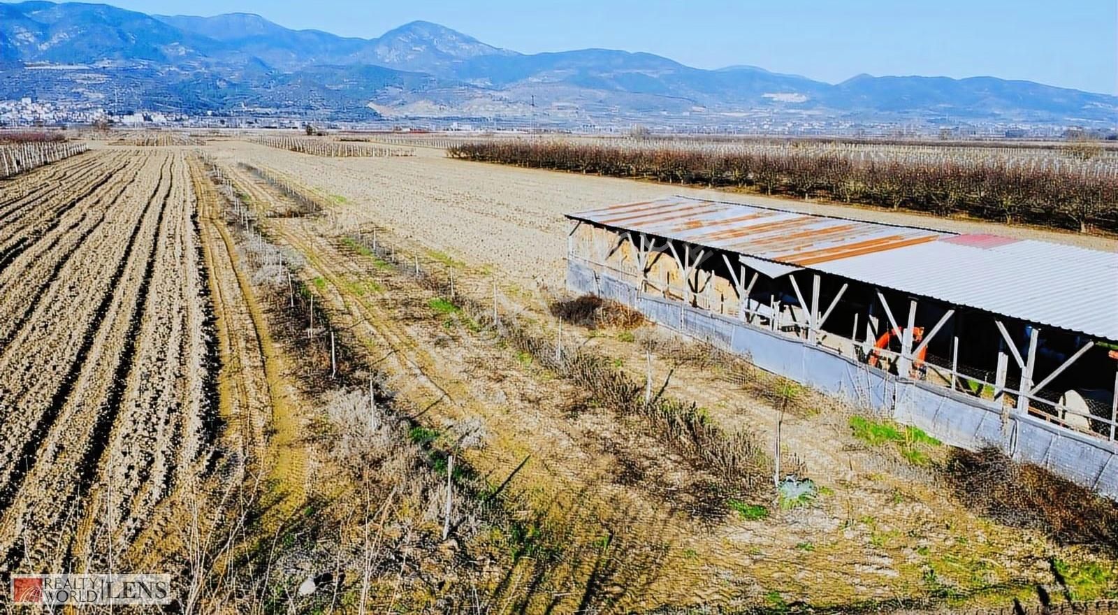 Pamukova Cihadiye'de 4000 M² Ceviz Ağaçlı Tarla ! Yatırıma Uygun - Görsel 28